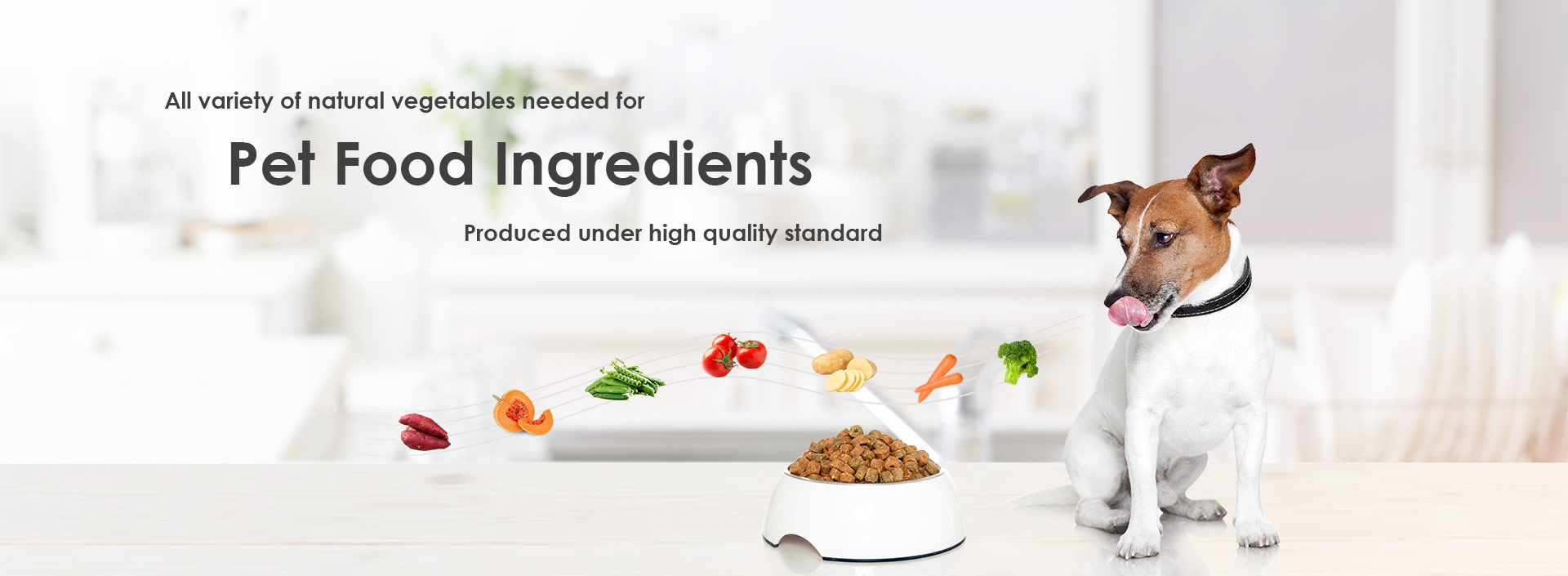 All variety of natural vegetables needed for Pet food ingredients produced under high quality standard