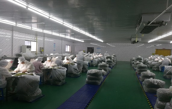 Keful Food Ingredients Co., Ltd. Factory