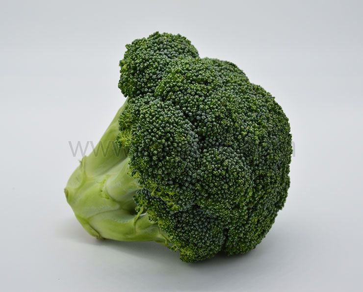 Broccoli stalk