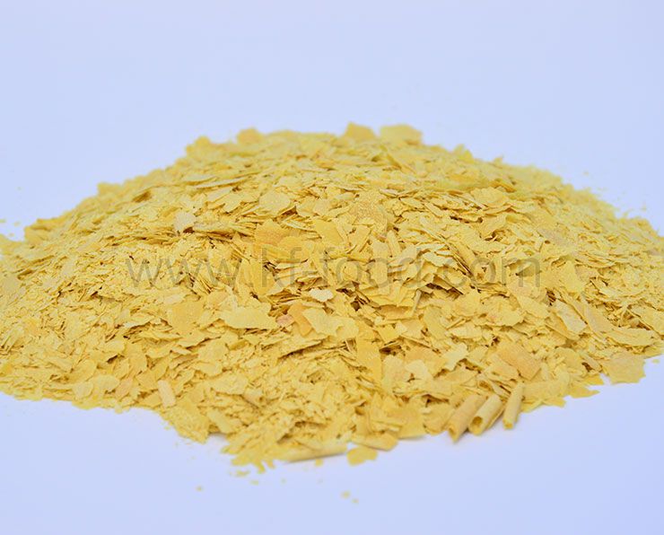 Nutritional Yeast flakes