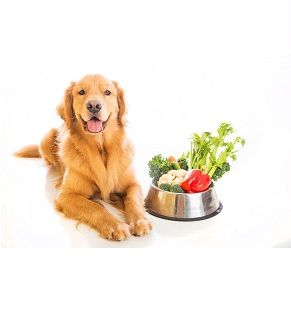 Pet Food  Ingredients