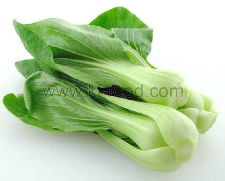 Bok Choy