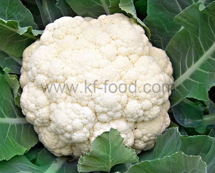 Cauliflower