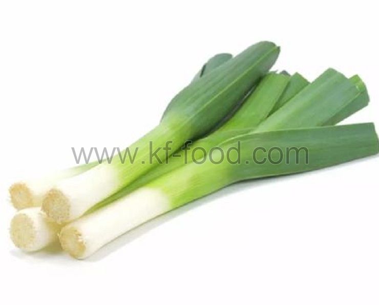 Leek (Green)