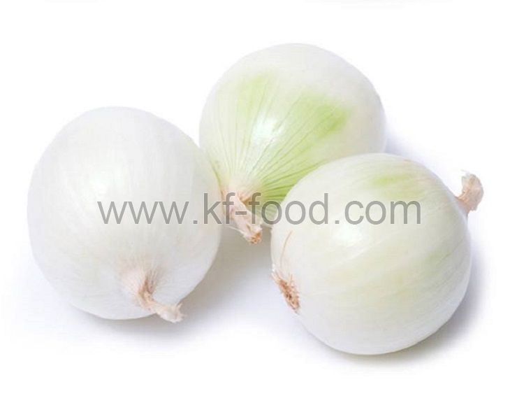 Onion White