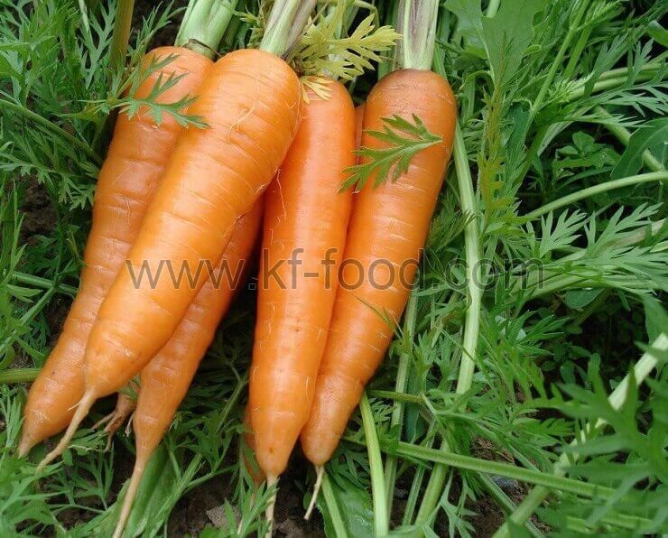 Carrot Strips