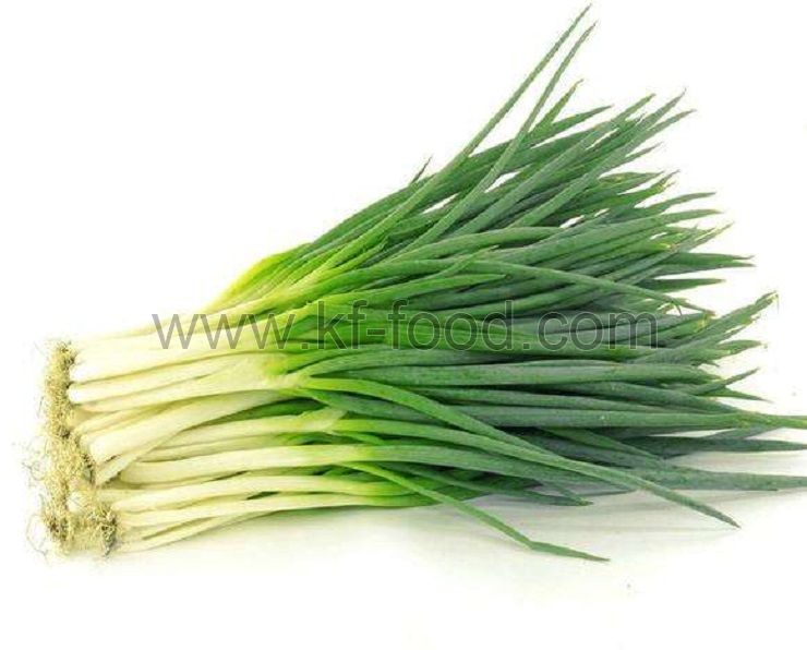 Spring Onion