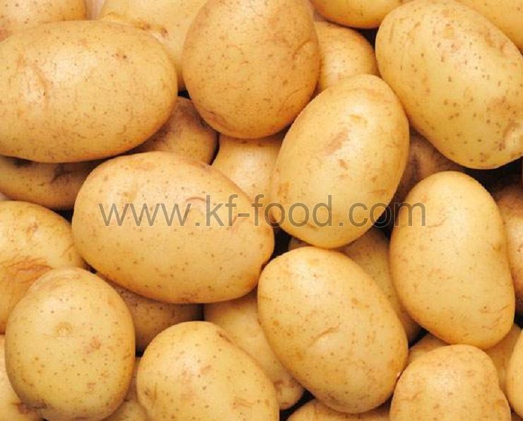 Start supplying dried potato and leek 2022 new crop